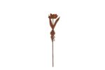 Tulp met bol 2D op steker H 52 cm Ecoroest®