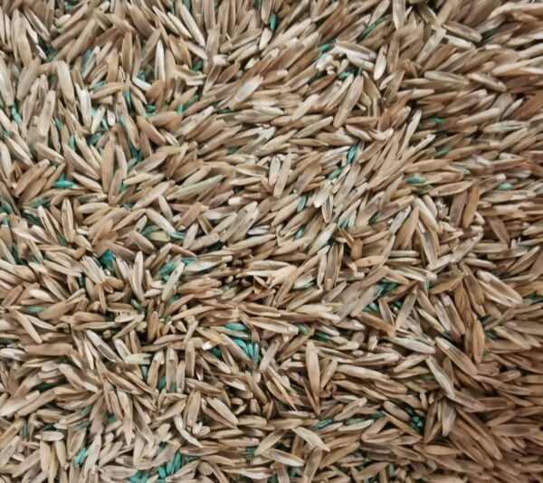 Graszaad 400 gram (0,4 kg) - Afbeelding 1